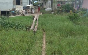 WARGA  RT.003 DUSUN DANAU DESA KUALA HARAPKAN PEMBANGUNAN JALAN .