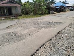 POTENSI MEMBANGUN PALOH TERKENDALA BANYAK FAKTOR, MASYARAKAT DESAK PEMERINTAH BENAHI INFRASTRUKTUR JALAN