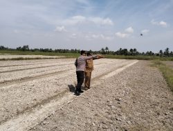 KAPOLSEK TELUK KERAMAT TINJAU LANGSUNG KESIAPAN TANAM JAGUNG DI DESA MATANG SEGANTAR