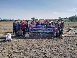 WUJUD SINERGITAS PEMDES MATANG SEGANTAR DAN POLSEK TELUK KERAMAT DUKUNG PENCAPAIAN SWASEMBADA JAGUNG NASIONAL
