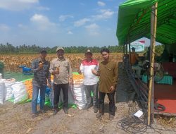 KARNAIN : SAYA KOMITMEN, SELALU MENDUKUNG SWASEMBADA JAGUNG NASIONAL