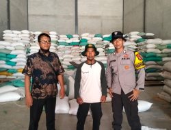 KOLABORASI POLSEK TELUK KERAMAT DAN PEMERINTAH DESA SUKSES SUMBANG SWASEMBADA JAGUNG 